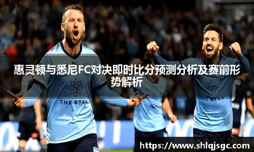 惠灵顿与悉尼FC对决即时比分预测分析及赛前形势解析